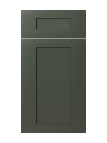 Aston Green cabinet door