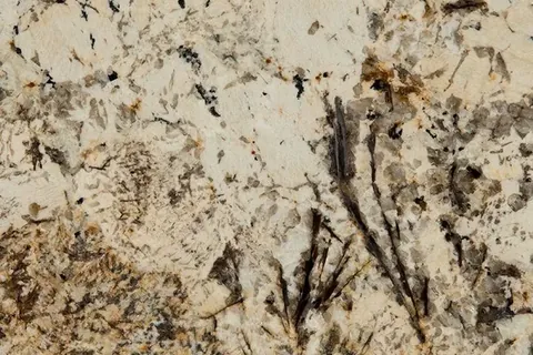 Caravelas Gold granite countertop slab