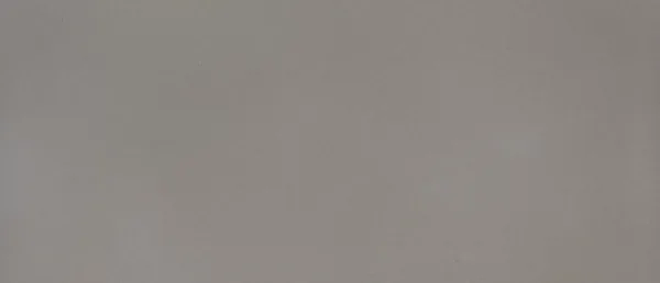 Fossil Gray quartz countertop slab