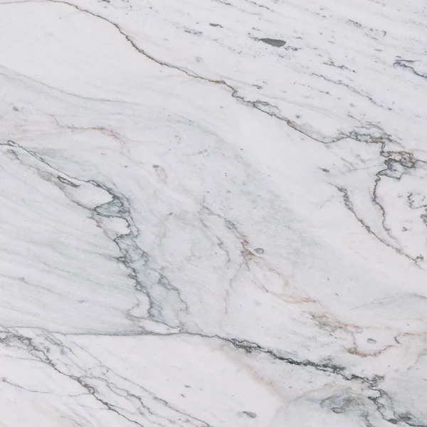 Florida Wave quartzite countertop slab